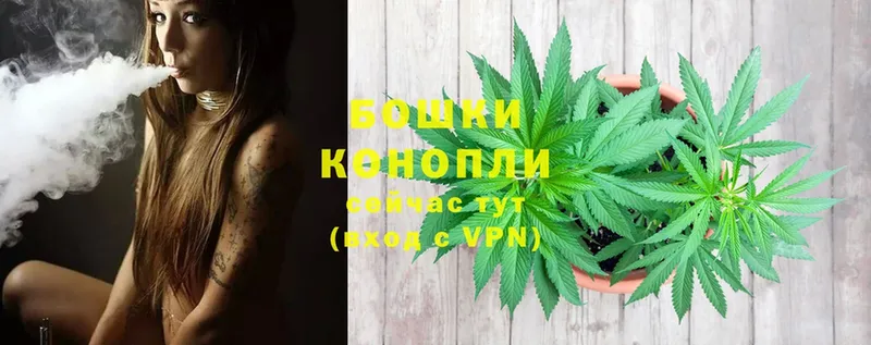 Каннабис SATIVA & INDICA  Кудымкар 